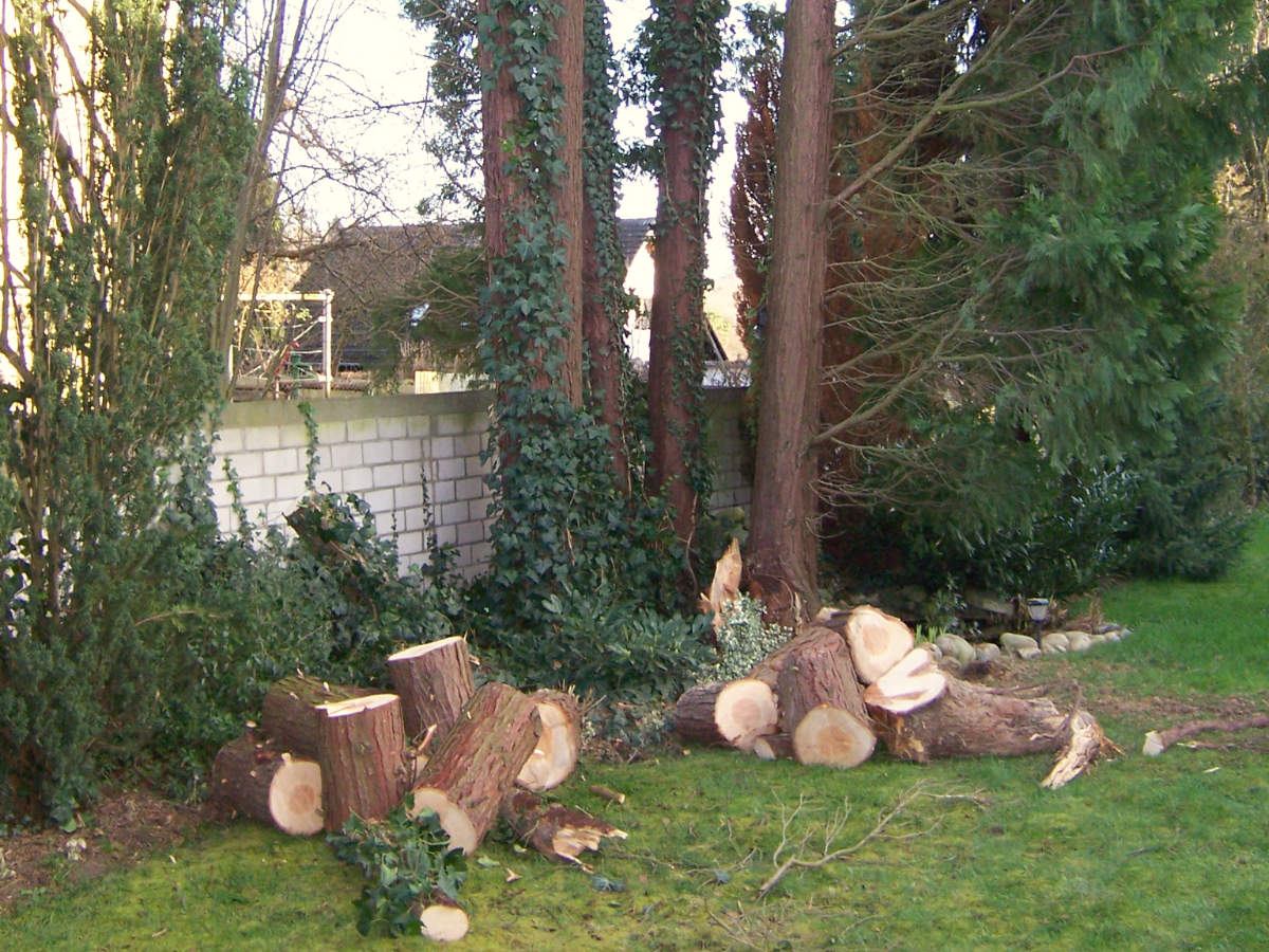 Grün- und Baumpflege